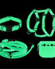 Lunar Glow Dog Harness, Collar, & Treat Pouch Bundle (Wide)