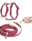 Cloud Lite Dog Harness Bundle (Standard leash preorder ship by 6/12)