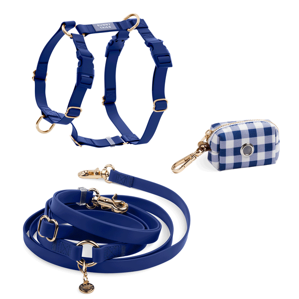 Cloud Lite Dog Harness Bundle