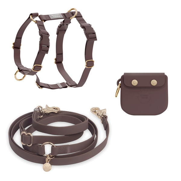 Cloud Lite Dog Harness Treat Pouch Bundle (Standard preorder ship by 4/24)