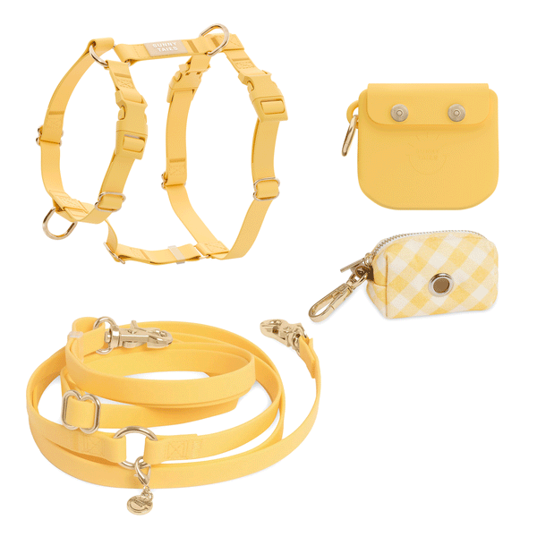 Yellow Best Sellers Harness & Treat Pouch Bundle
