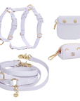 Best Sellers Harness & Standard Treat Pouch Bundle