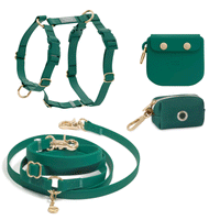 Best Sellers Harness & Treat Pouch Bundle