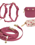 Best Sellers Harness & Large Treat Pouch Bundle (Standard leash preorder ship by 6/12)