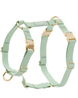 Pistachio Green Cloud Lite Dog Harness