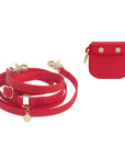 Treat Pouch & 4-in-1 Convertible Hands Free Cloud Dog Leash