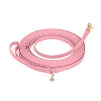 Perfect Pink Waterproof Cloud 30 Ft Dog Leash | Lightweight PVC Long Leash | Odor Proof, Stink Proof, and Durable Dog Lead | Available in 3 Lengths