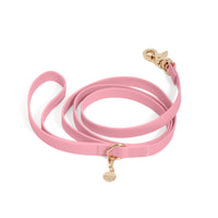Perfect Pink Waterproof Cloud Dog Leash | Lightweight PVC Leash | Odor Proof, Stink Proof, and Durable | Available in 3 Lengths