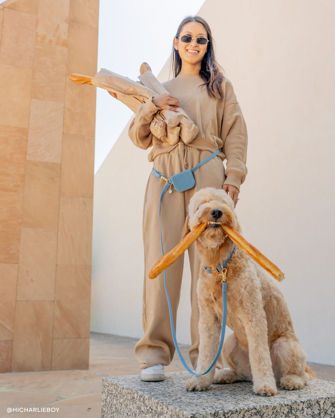 Malibu Blue 4-in-1 Convertible Hands Free Cloud Dog Leash
