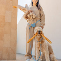 Malibu Blue 4-in-1 Convertible Hands Free Cloud Dog Leash
