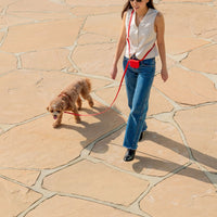 5 - Piece Hands Free Set – Leash, Harness, Collar, Treat Pouch & Waste Bag Holder - SUNNY TAILS