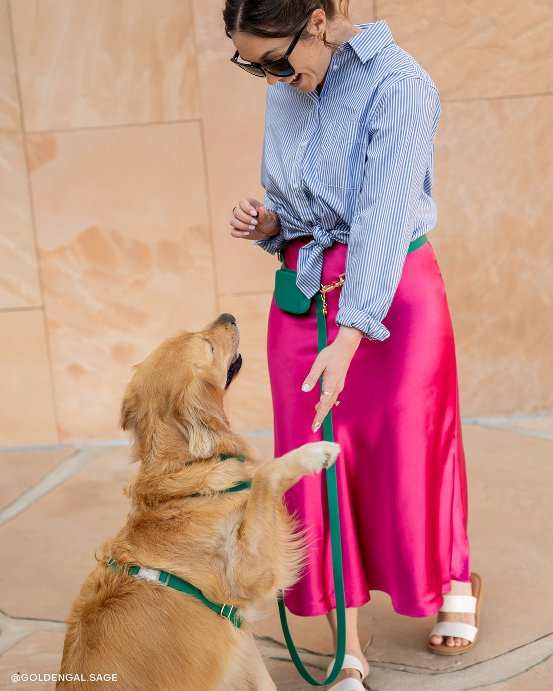 Meadow Green Snap Dog Treat Pouch | Dog Training Bag | Dog Bag for Treats | Carry Wet or Dry Treats | Silicone Pouch for Dog | Sunny Tails