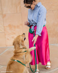Treat Pouch & 4 - in - 1 Convertible Hands Free Cloud Dog Leash - SUNNY TAILS