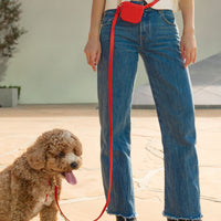 5 - Piece Hands Free Set – Leash, Harness, Collar, Treat Pouch & Waste Bag Holder - SUNNY TAILS