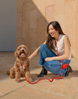 5 - Piece Hands Free Set – Leash, Harness, Collar, Treat Pouch & Waste Bag Holder - SUNNY TAILS
