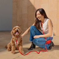 Cherry Red Snap Dog Treat Pouch | Dog Training Bag | Dog Bag for Treats | Carry Wet or Dry Treats | Silicone Pouch for Dog | Sunny Tails