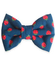 Strawberry Jeans Dog Bow Tie - SUNNY TAILS