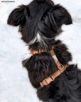 Chai Brown Cloud Lite Dog Harness - SUNNY TAILS