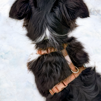 Chai Brown Cloud Lite Dog Harness