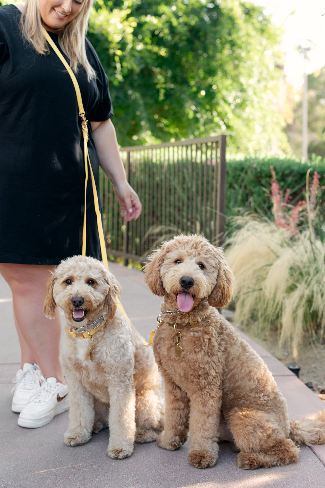 Dandelion Yellow Convertible Hands Free Cloud Dog Leash | Multifunctional, Waterproof, and Lightweight Dog Leash | Shop Sunny Tails