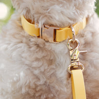 Dandelion Yellow Dog Collar | Waterproof Quick Release Collar | Available in 3 Sizes | Durable Dog Collars | Shop Sunny Tails