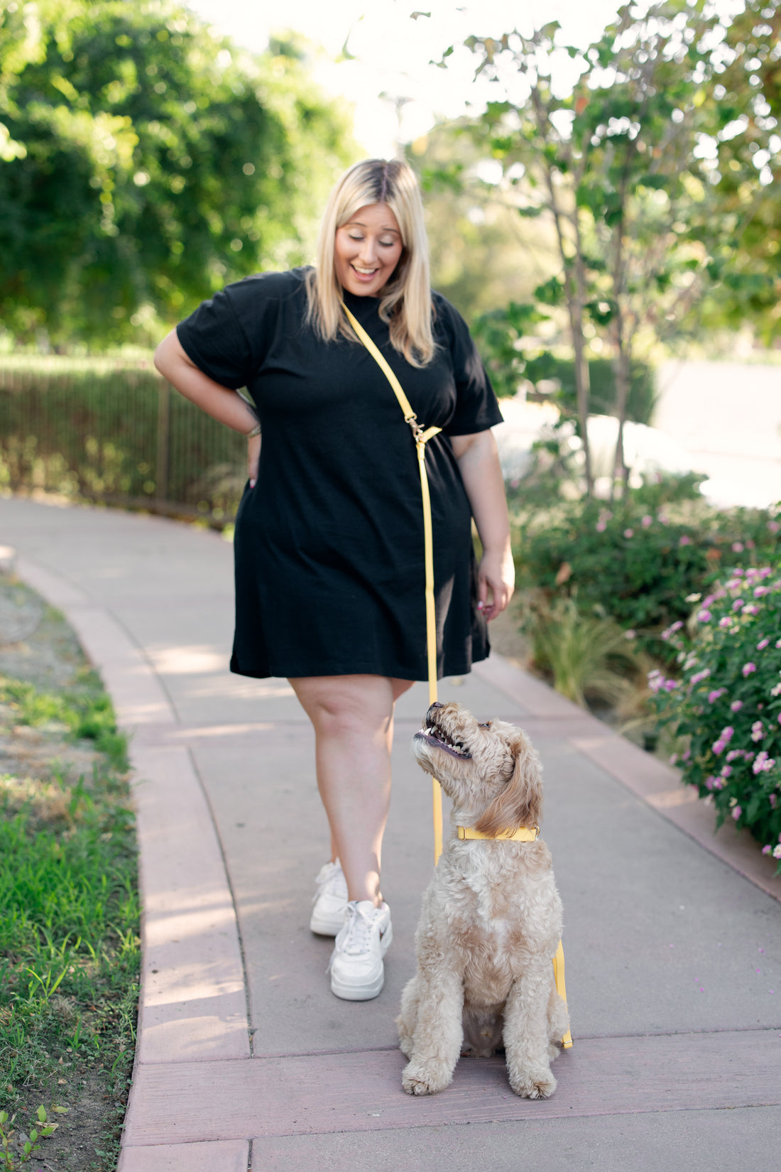 Dandelion Yellow Convertible Hands Free Cloud Dog Leash | Multifunctional, Waterproof, and Lightweight Dog Leash | Shop Sunny Tails