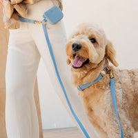 Light Blue Waterproof Dog Collar | Malibu Blue Quick Release Collar | Available in 3 Sizes | Durable Dog Collars | Shop Sunny Tails