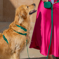 Best Sellers Harness & Treat Pouch Bundle Wide