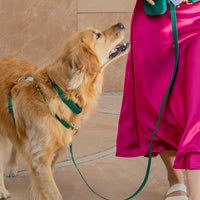 Best Sellers Harness & Treat Pouch Bundle Wide