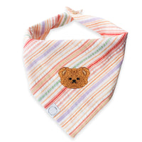 Sherbet Teddy Dog Bandana | Summer Teddy Bear Dog Bandana | Shop Sunny Tails