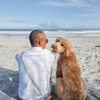 Cloud Dog Collar Bundle Wide - SUNNY TAILS