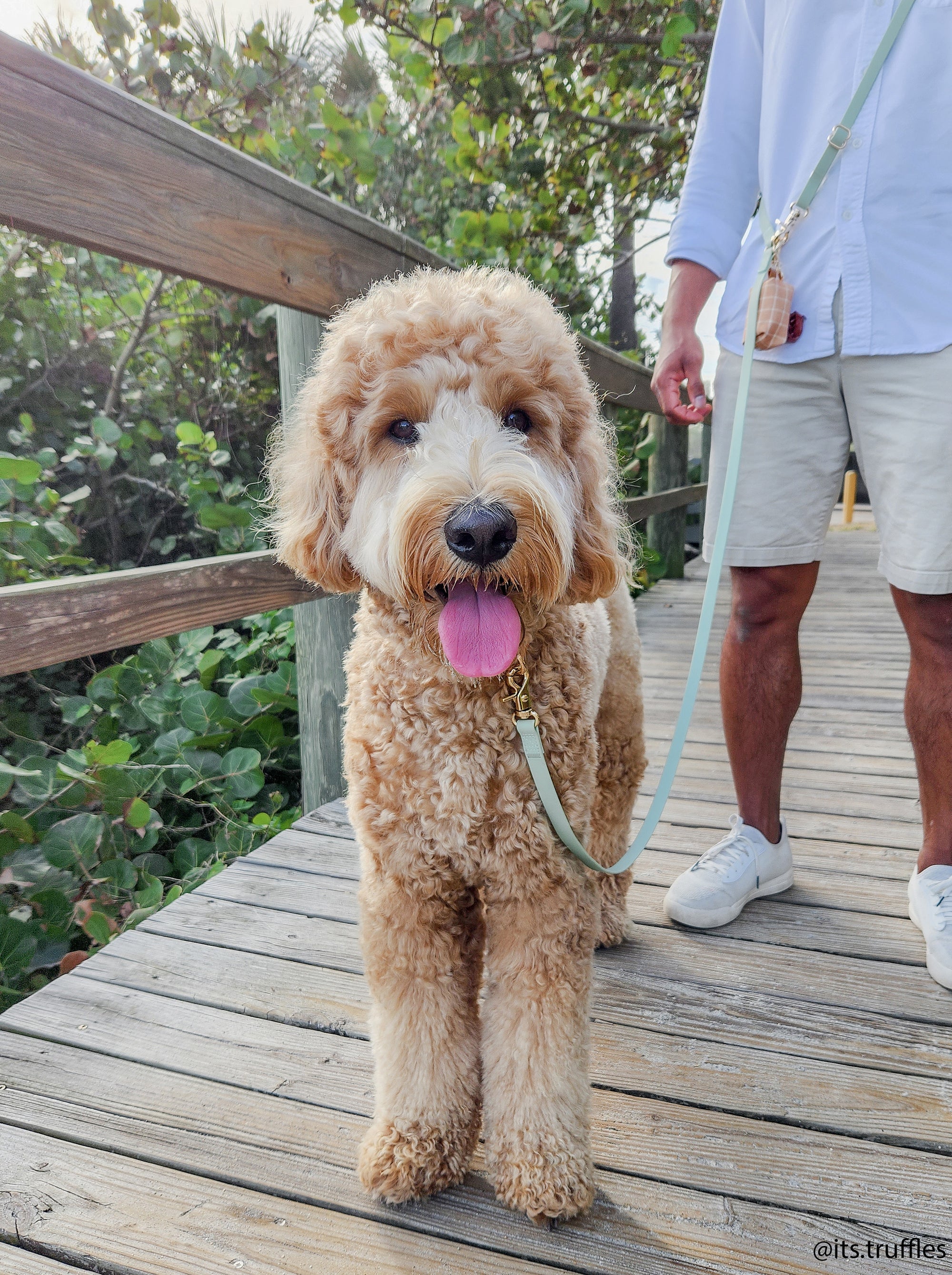 Cloud Convertible Leash Extension Bundle