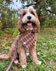 Woodland Wander Plaid Frayed Dog Bandana - SUNNY TAILS