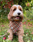 Woodland Wander Plaid Frayed Dog Bandana - SUNNY TAILS