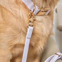 Cloud Dog Collar Bundle Wide