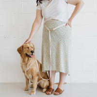 Cloud Dog Collar Bundle Wide