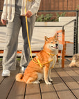 Dandelion Yellow Cloud Lite Dog Harness | Waterproof Dog Harness | No Pull Front Attachment | Available in 3 Sizes