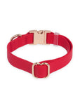 Cherry Red Waterproof Dog Collar - SUNNY TAILS