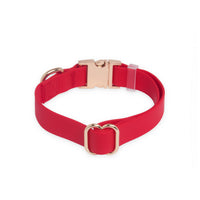 Cherry Red Waterproof Dog Collar