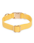 Dandelion Yellow Dog Collar | Waterproof Quick Release Collar | Available in 3 Sizes | Durable Dog Collars | Shop Sunny Tails