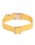 Dandelion Yellow Waterproof Dog Collar - SUNNY TAILS