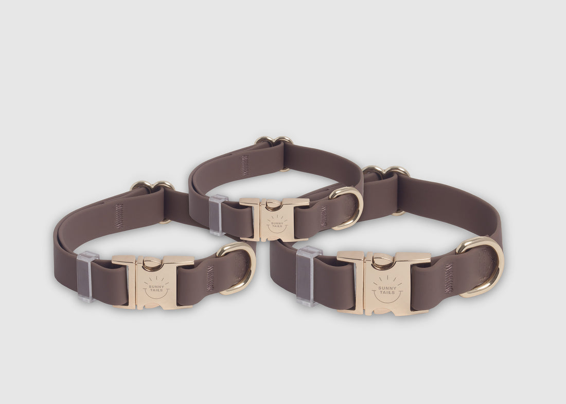 Espresso Brown Waterproof Dog Collar | Dark Brown Quick Release Collar | Available in 3 Sizes | Durable Dog Collars | Shop Sunny Tails
