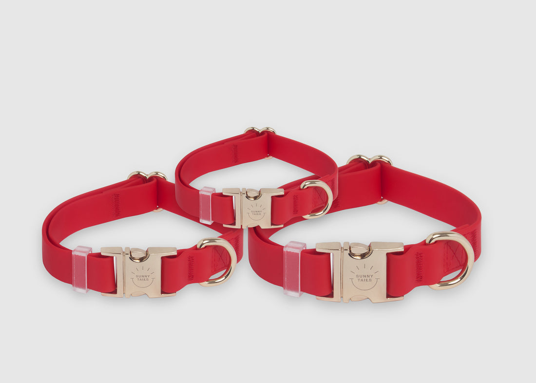 Cherry Red Waterproof Dog Collar | Bold Red Quick Release Collar | Available in 3 Sizes | Durable Dog Collars | Shop Sunny Tails