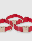 Cherry Red Waterproof Dog Collar | Bold Red Quick Release Collar | Available in 3 Sizes | Durable Dog Collars | Shop Sunny Tails