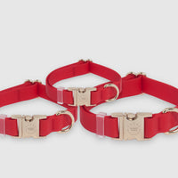 Cherry Red Waterproof Dog Collar | Bold Red Quick Release Collar | Available in 3 Sizes | Durable Dog Collars | Shop Sunny Tails