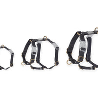 Espresso Brown Cloud Lite Dog Harness | Waterproof Dog Harness | No Pull Front Attachment | Available in 3 Sizes