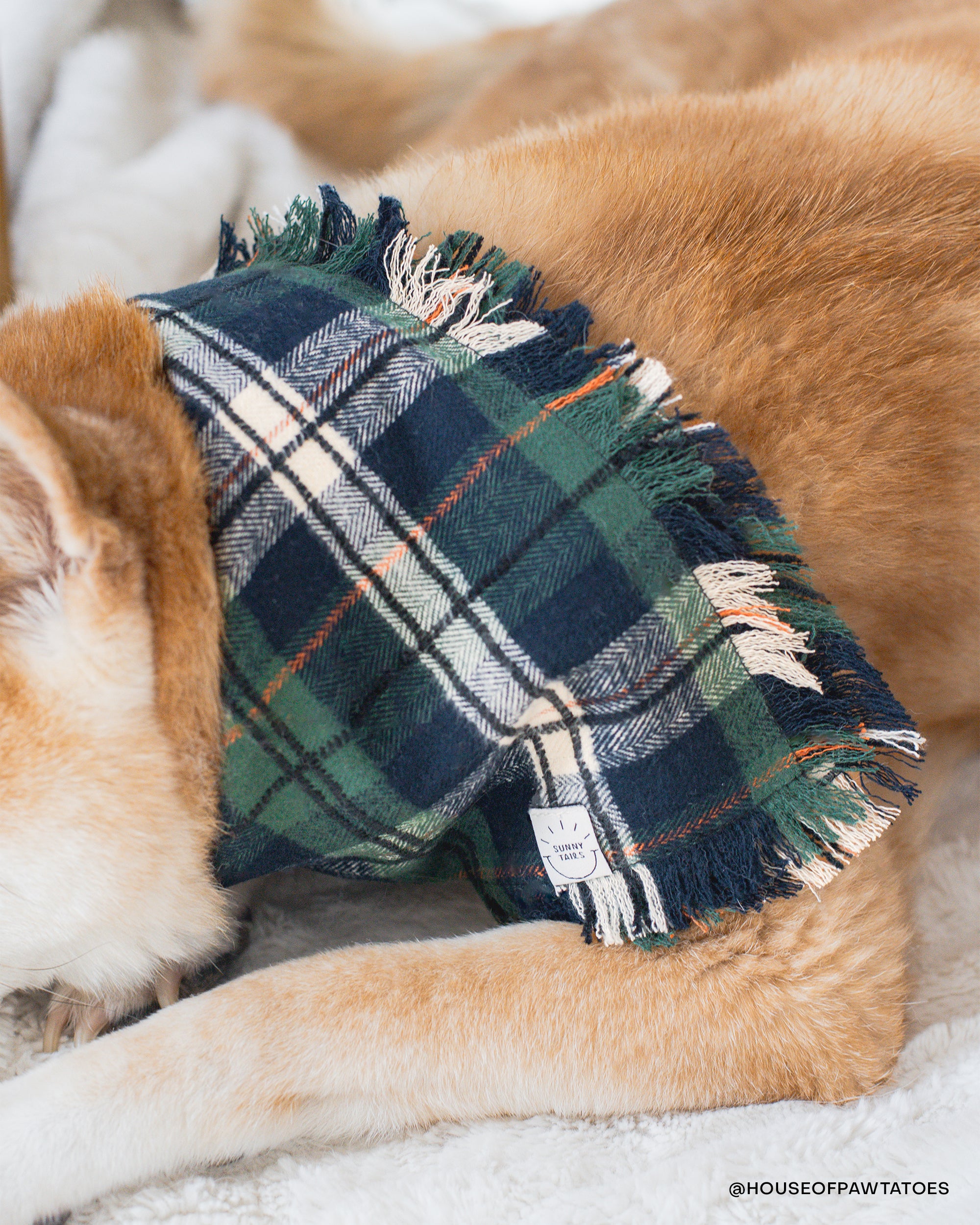 Easter Plaid Dog Scarf, Custom Embroidery hot Puppy Bandana, Spring Pastel Flannel Pet Bandannas, Tartan Doggy Scarves, Mint Green Kerchief Dogs