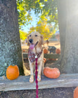 Woodland Wander Plaid Frayed Dog Bandana - SUNNY TAILS