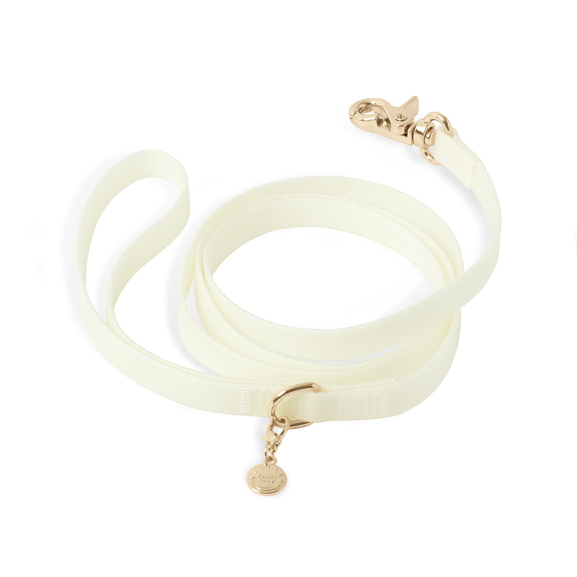 Lunar Glow Waterproof Cloud Dog Leash | Glow in Dark Lightweight PVC Leash | Odor Proof, Stink Proof, and Durable | Available in 3 Lengths