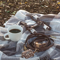 Espresso Brown Convertible Hands Free Cloud Dog Leash | Multifunctional, Waterproof, and Lightweight Dog Leash | Shop Sunny Tails